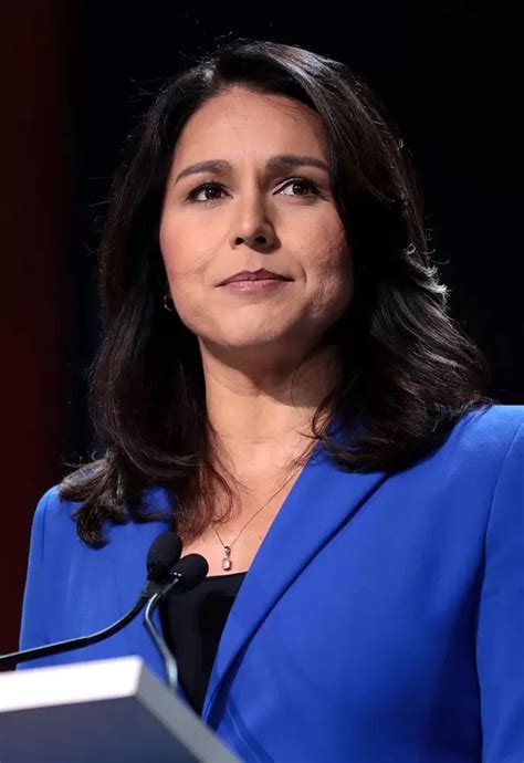 tulsi gabbard bikini